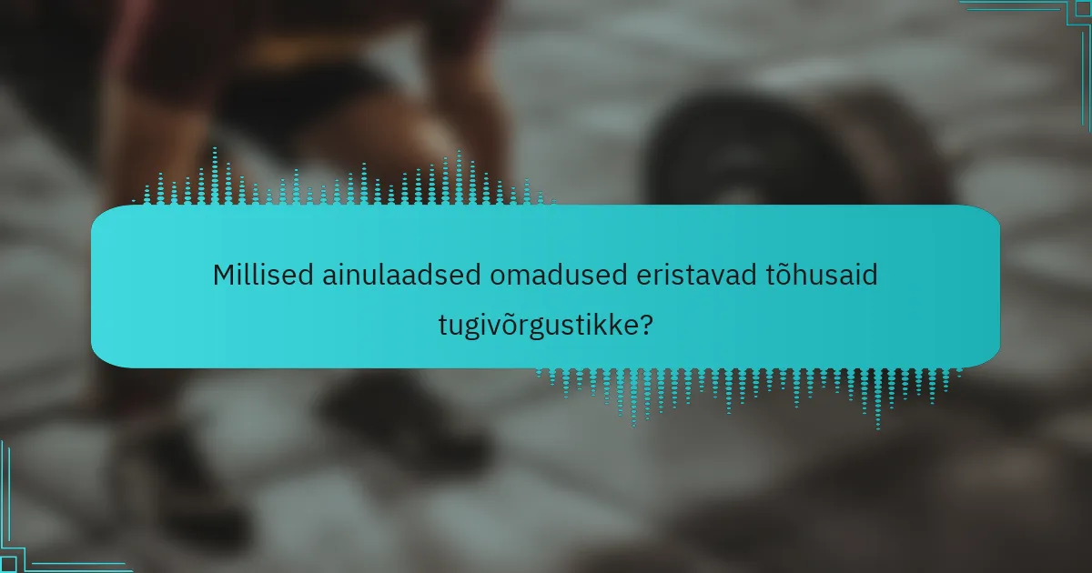 Millised ainulaadsed omadused eristavad tõhusaid tugivõrgustikke?