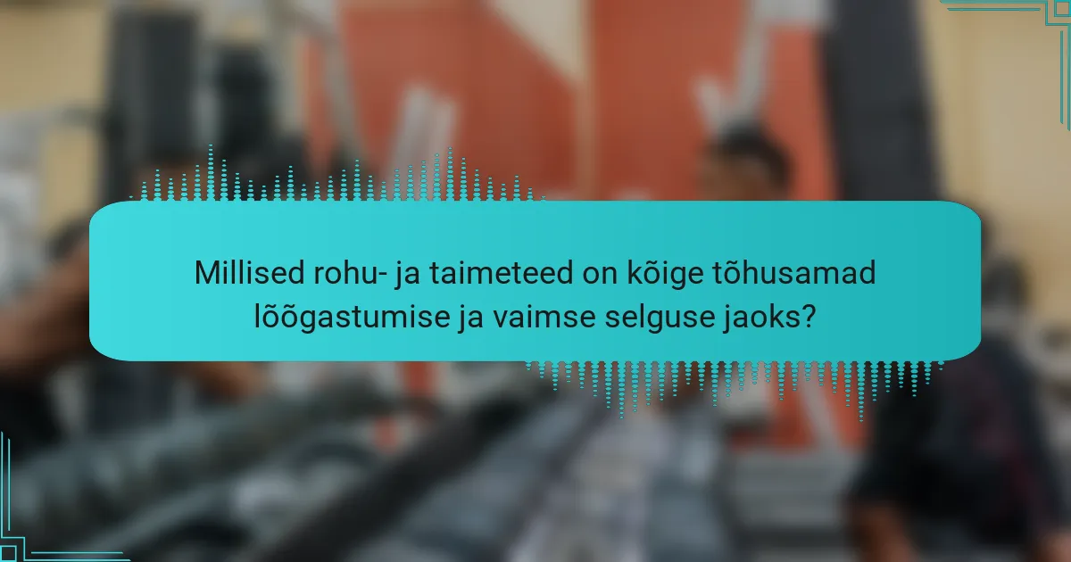 Millised rohu- ja taimeteed on kõige tõhusamad lõõgastumise ja vaimse selguse jaoks?