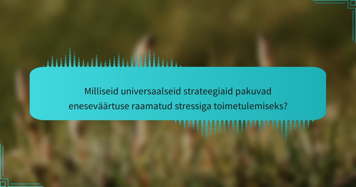 Milliseid universaalseid strateegiaid pakuvad eneseväärtuse raamatud stressiga toimetulemiseks?